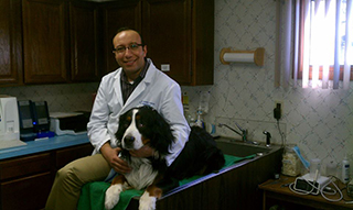 Farview Animal Clinic - Veterinarian in Paramus, NJ US